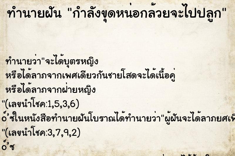 ทำนายฝัน กำลังขุดหน่อกล้วยจะไปปลูก ทำนายฝัน กำลังขุดหน่อกล้วยจะไปปลูก