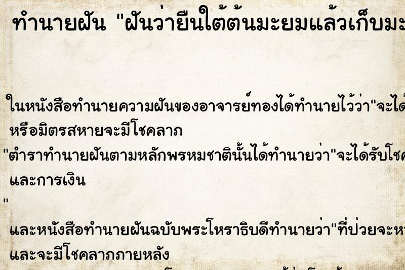 ทำนายฝันฝันว่ายืนใต้ต้นมะยมแล้วเก็บมะยมกิน ทำนายฝันทำนายฝันฝันว่ายืนใต้ต้นมะยมแล้วเก็บมะยมกิน