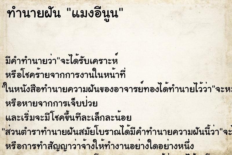 ทำนายฝัน แมงอีนูน ทำนายฝัน แมงอีนูน