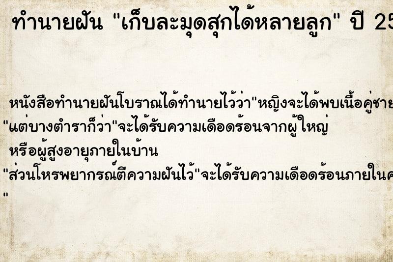 ทำนายฝันเก็บละมุดสุกได้หลายลูก ทำนายฝันทำนายฝันเก็บละมุดสุกได้หลายลูก
