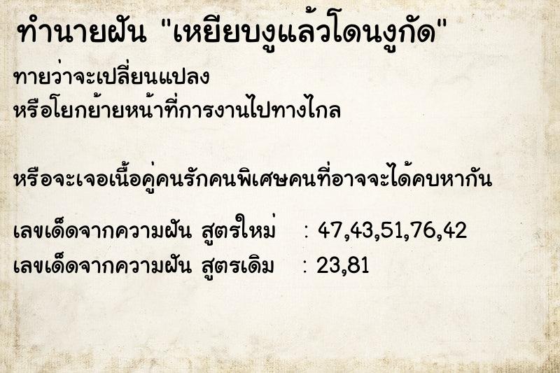 ทำนายฝันเหยียบงูแล้วโดนงูกัด ทำนายฝันทำนายฝันเหยียบงูแล้วโดนงูกัด