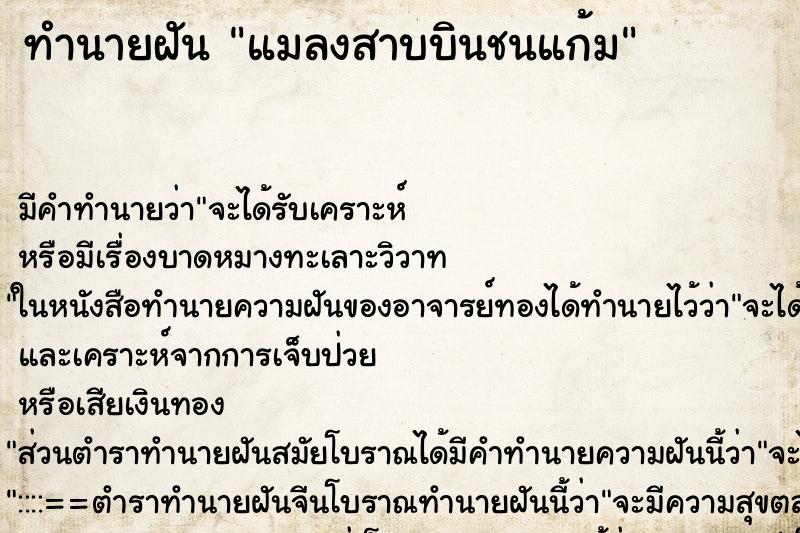 ทำนายฝันแมลงสาบบินชนแก้ม ทำนายฝันทำนายฝันแมลงสาบบินชนแก้ม