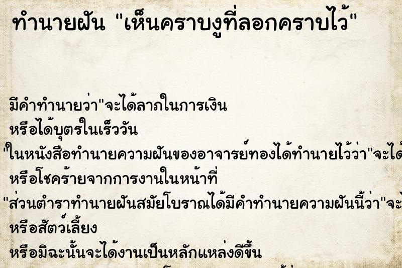 ทำนายฝัน เห็นคราบงูที่ลอกคราบไว้ ตำราโบราณ แม่นที่สุดในโลก