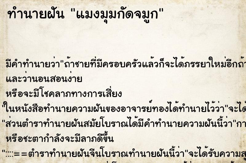 ทำนายฝันแมงมุมกัดจมูก ทำนายฝันทำนายฝันแมงมุมกัดจมูก