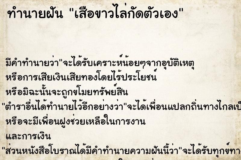 ทำนายฝัน เสือขาวไล่กัดตัวเอง ทำนายฝัน เสือขาวไล่กัดตัวเอง