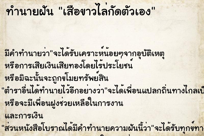 ทำนายฝัน เสือขาวไล่กัดตัวเอง ตำราโบราณ แม่นที่สุดในโลก