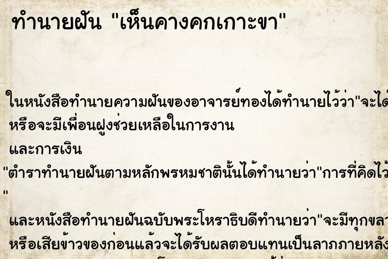 ทำนายฝัน เห็นคางคกเกาะขา ทำนายฝัน เห็นคางคกเกาะขา