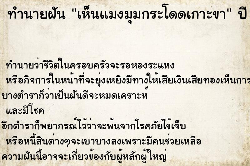 ทำนายฝัน เห็นแมงมุมกระโดดเกาะขา
