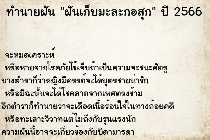 ทำนายฝันฝันเก็บมะละกอสุก ทำนายฝันทำนายฝันฝันเก็บมะละกอสุก