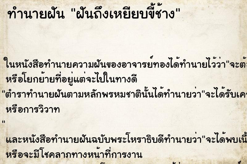 ทำนายฝันฝันถึงเหยียบขี้ช้าง ทำนายฝันทำนายฝันฝันถึงเหยียบขี้ช้าง