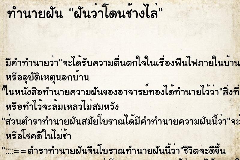 ทำนายฝัน ฝันว่าโดนช้างไล่ ทำนายฝัน ฝันว่าโดนช้างไล่