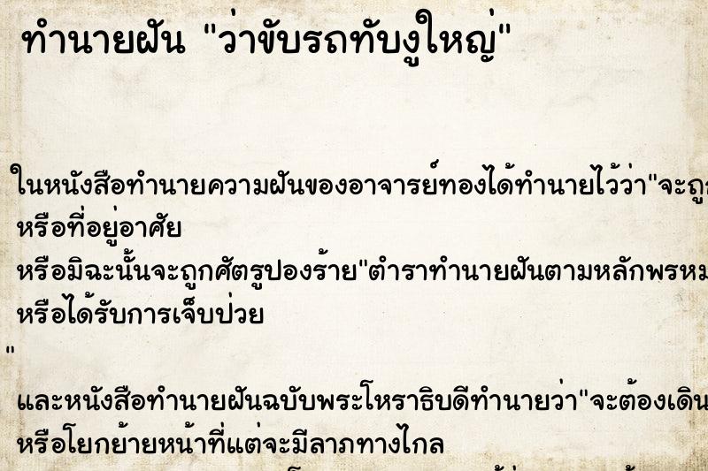 ทำนายฝัน ว่าขับรถทับงูใหญ่ ทำนายฝัน ว่าขับรถทับงูใหญ่