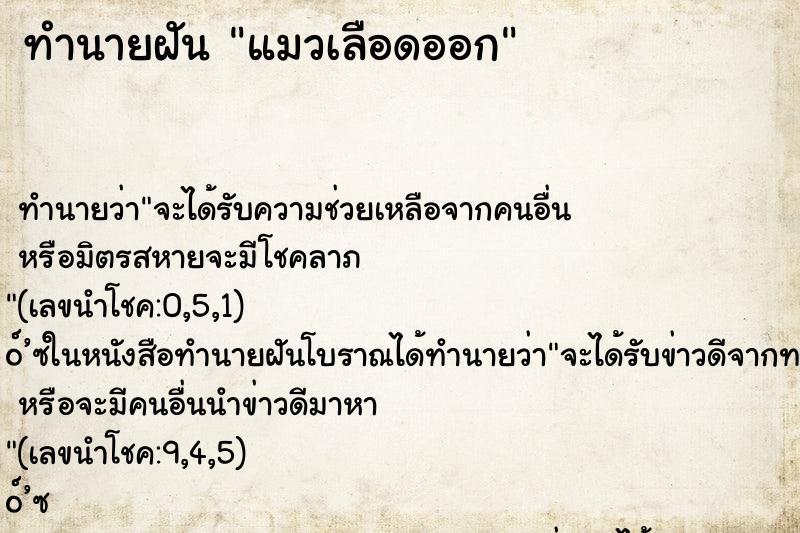 ทำนายฝัน แมวเลือดออก ตำราโบราณ แม่นที่สุดในโลก