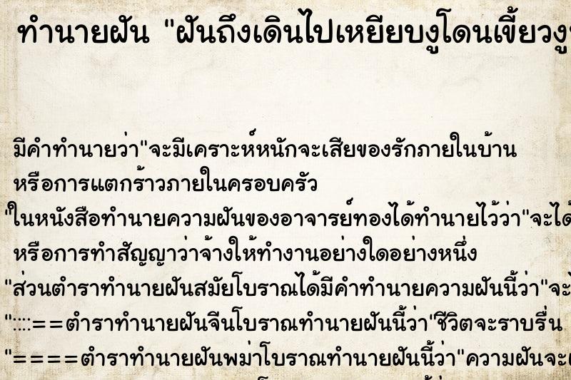ทำนายฝัน ฝันถึงเดินไปเหยียบงูโดนเขี้ยวงูปักเท้า ทำนายฝัน ฝันถึงเดินไปเหยียบงูโดนเขี้ยวงูปักเท้า
