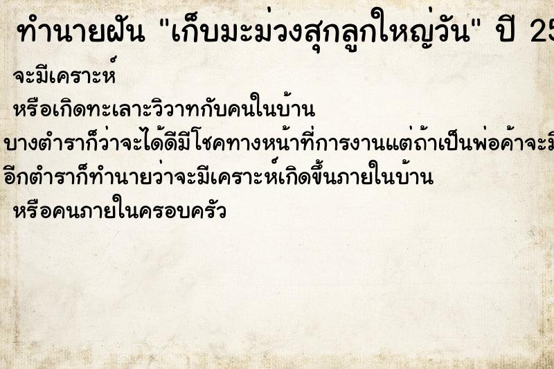 ทำนายฝันเก็บมะม่วงสุกลูกใหญ่วัน ทำนายฝันทำนายฝันเก็บมะม่วงสุกลูกใหญ่วัน