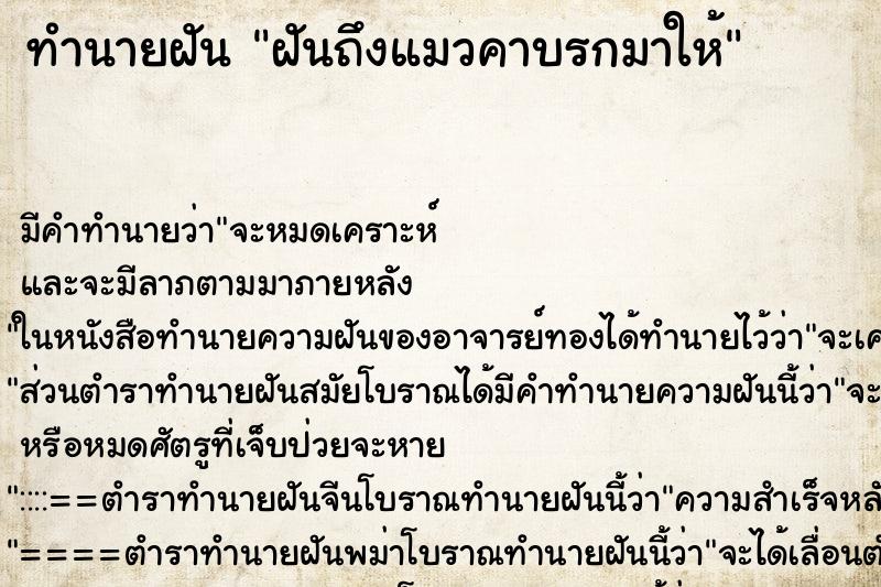 ทำนายฝันฝันถึงแมวคาบรกมาให้ ทำนายฝันทำนายฝันฝันถึงแมวคาบรกมาให้