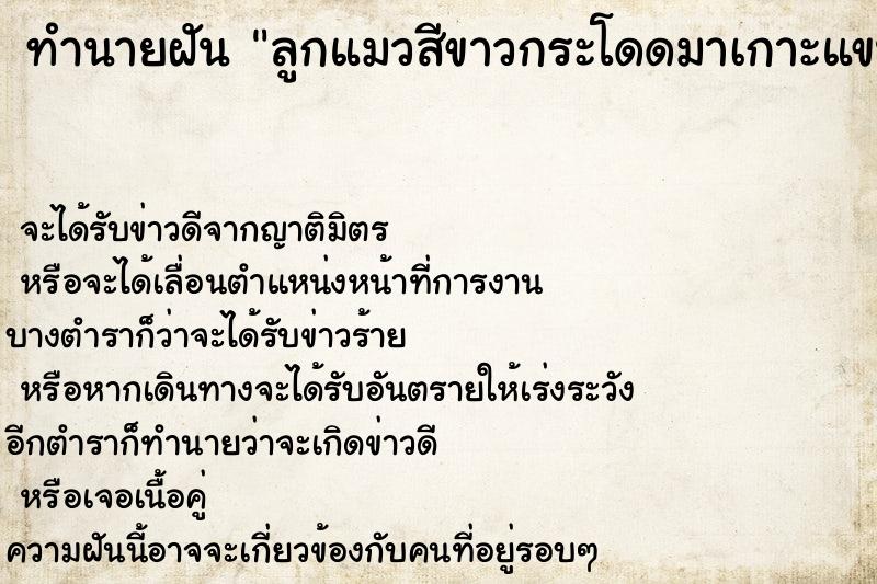 ทำนายฝันทำนายฝันลูกแมวสีขาวกระโดดมาเกาะแขน