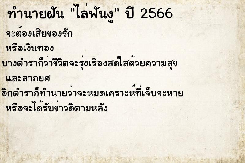 ทำนายฝัน ไล่ฟันงู ทำนายฝัน ไล่ฟันงู