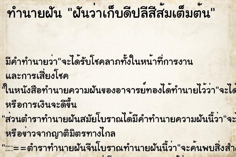ทำนายฝันฝันว่าเก็บดีปลีสีส้มเต็มต้น ทำนายฝันทำนายฝันฝันว่าเก็บดีปลีสีส้มเต็มต้น