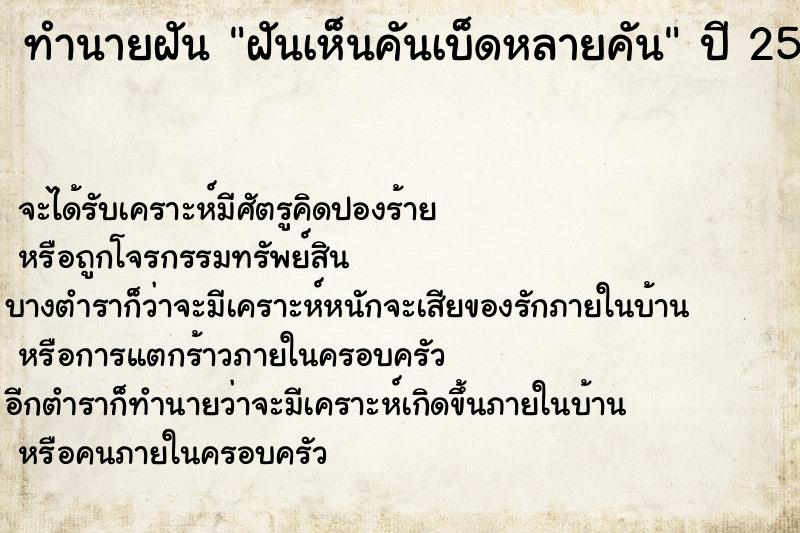 ทำนายฝันฝันเห็นคันเบ็ดหลายคัน ทำนายฝันทำนายฝันฝันเห็นคันเบ็ดหลายคัน
