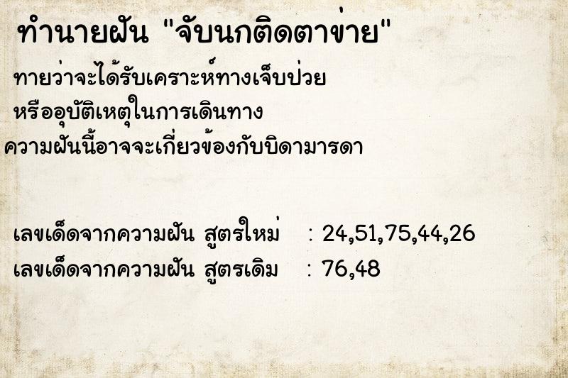ทำนายฝันทำนายฝันจับนกติดตาข่าย
