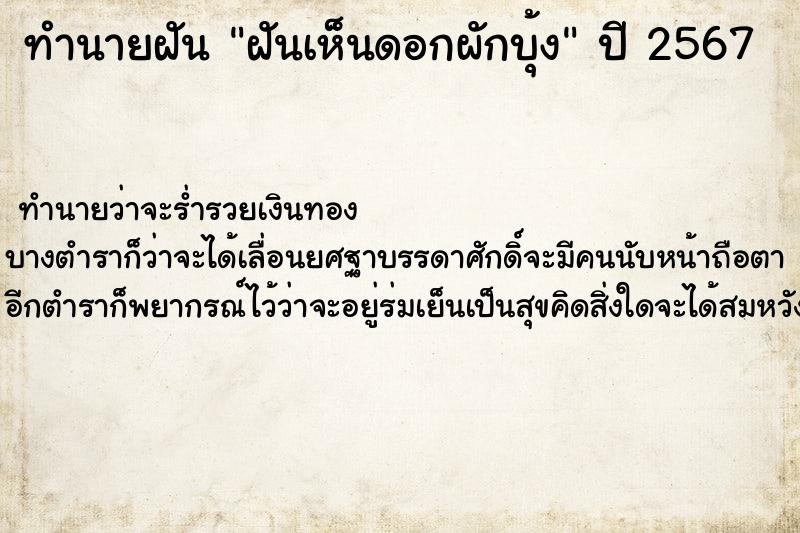 ทำนายฝัน ฝันเห็นดอกผักบุ้ง ทำนายฝัน ฝันเห็นดอกผักบุ้ง