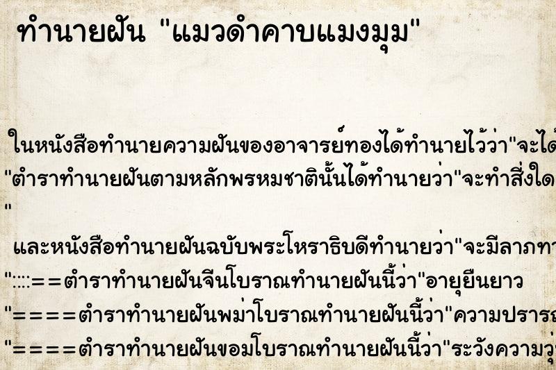 ทำนายฝันแมวดำคาบแมงมุม ทำนายฝันทำนายฝันแมวดำคาบแมงมุม