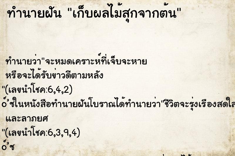 ทำนายฝันเก็บผลไม้สุกจากต้น ทำนายฝันทำนายฝันเก็บผลไม้สุกจากต้น