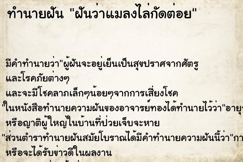 ทำนายฝันฝันว่าแมลงไล่กัดต่อย ทำนายฝันทำนายฝันฝันว่าแมลงไล่กัดต่อย
