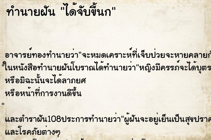 ทำนายฝัน ได้จับขี้นก ทำนายฝัน ได้จับขี้นก