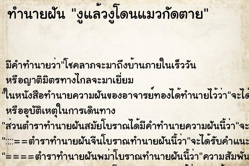 ทำนายฝันงูแล้วงูโดนแมวกัดตาย ทำนายฝันทำนายฝันงูแล้วงูโดนแมวกัดตาย