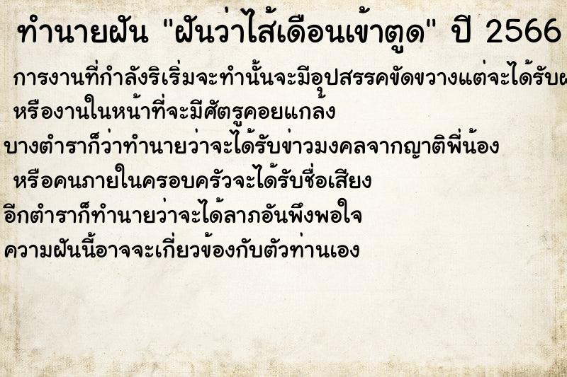 ทำนายฝัน ฝันว่าไส้เดือนเข้าตูด ทำนายฝัน ฝันว่าไส้เดือนเข้าตูด