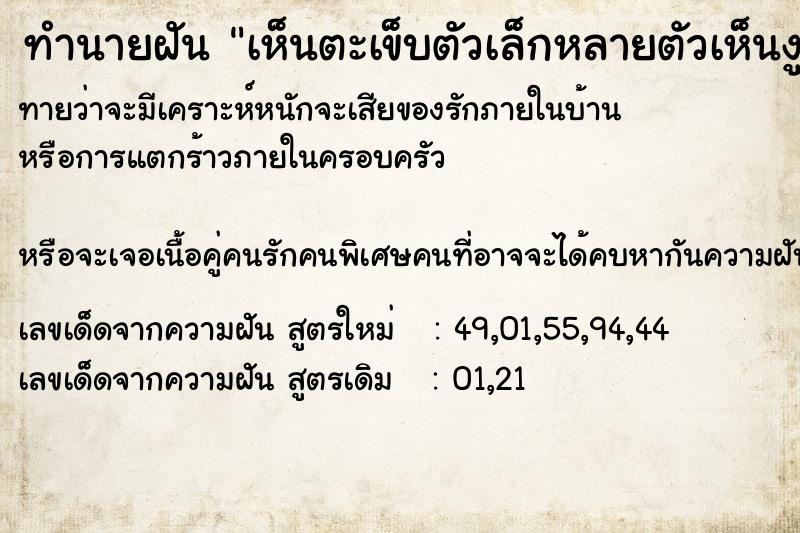 ทำนายฝันเห็นตะเข็บตัวเล็กหลายตัวเห็นงูตัวเล็กหลายตัว ทำนายฝันทำนายฝันเห็นตะเข็บตัวเล็กหลายตัวเห็นงูตัวเล็กหลายตัว