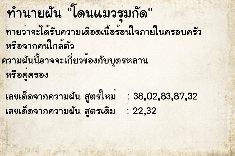 ทำนายฝัน โดนแมวรุมกัด