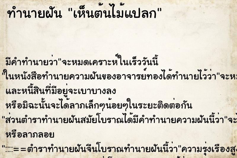 ทำนายฝัน เห็นต้นไม้แปลก ตำราโบราณ แม่นที่สุดในโลก