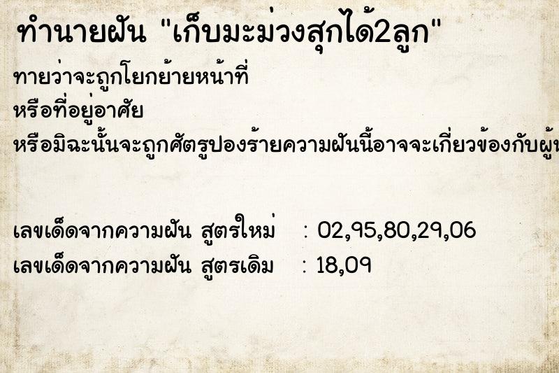 ทำนายฝันทำนายฝันเก็บมะม่วงสุกได้2ลูก