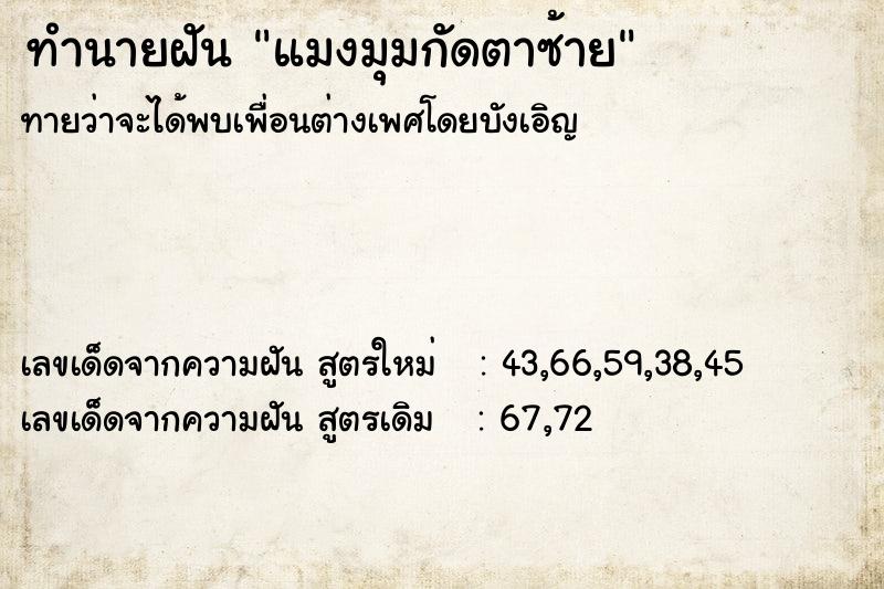 ทำนายฝันทำนายฝันแมงมุมกัดตาซ้าย
