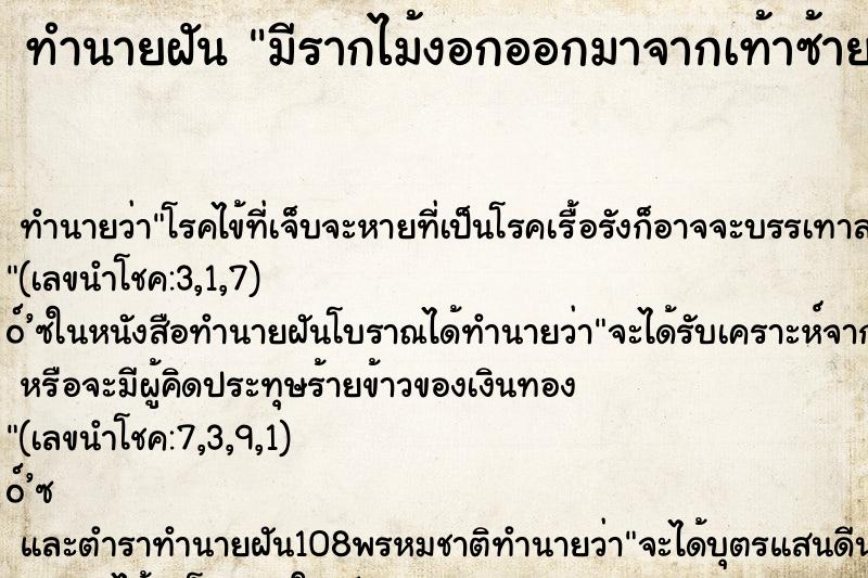 ทำนายฝัน มีรากไม้งอกออกมาจากเท้าซ้าย