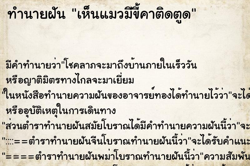 ทำนายฝัน เห็นแมวมีขี้คาติดตูด ตำราโบราณ แม่นที่สุดในโลก