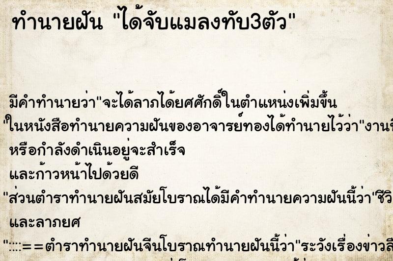 ทำนายฝัน ได้จับแมลงทับ3ตัว ทำนายฝัน ได้จับแมลงทับ3ตัว