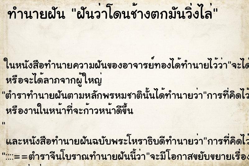 ทำนายฝันฝันว่าโดนช้างตกมันวิ่งไล่ ทำนายฝันทำนายฝันฝันว่าโดนช้างตกมันวิ่งไล่