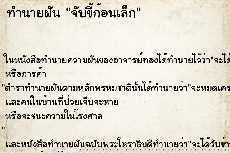 ทำนายฝันทำนายฝันจับขี้ก้อนเล็ก