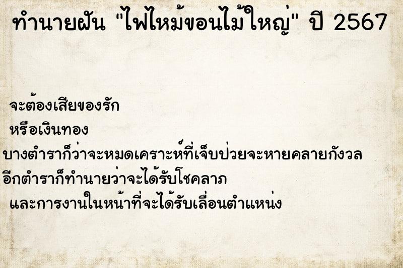 ทำนายฝันไฟไหม้ขอนไม้ใหญ่ ทำนายฝันทำนายฝันไฟไหม้ขอนไม้ใหญ่