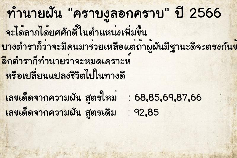ทำนายฝัน คราบงูลอกคราบ ทำนายฝัน คราบงูลอกคราบ