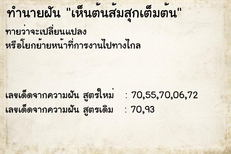 ทำนายฝันเห็นต้นส้มสุกเต็มต้น ทำนายฝันทำนายฝันเห็นต้นส้มสุกเต็มต้น