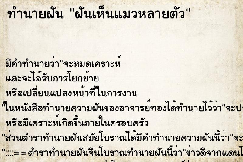 ทำนายฝัน ฝันเห็นแมวหลายตัว ทำนายฝัน ฝันเห็นแมวหลายตัว