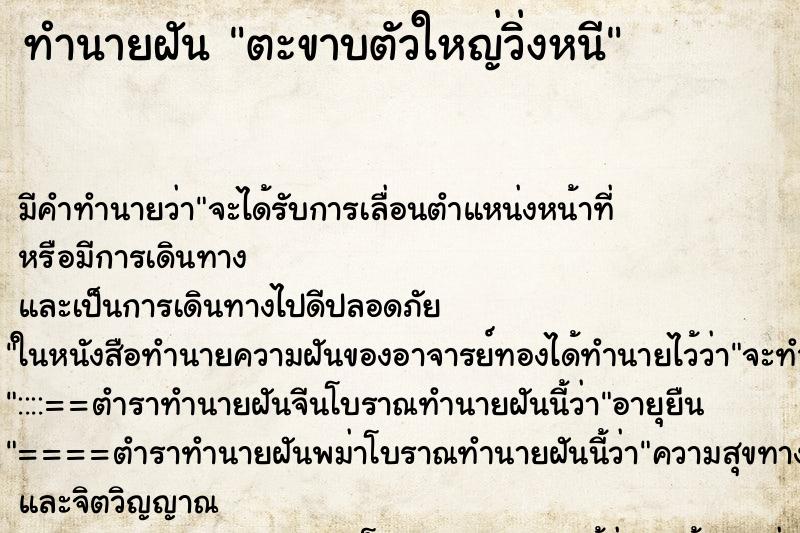 ทำนายฝัน ตะขาบตัวใหญ่วิ่งหนี ทำนายฝัน ตะขาบตัวใหญ่วิ่งหนี