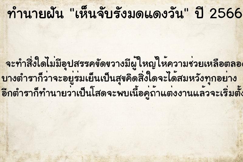 ทำนายฝัน เห็นจับรังมดแดงวัน