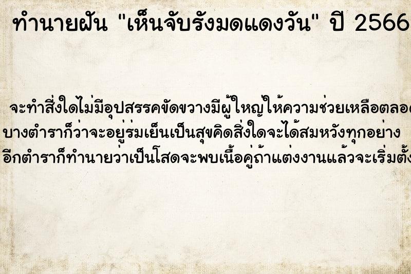 ทำนายฝัน เห็นจับรังมดแดงวัน ตำราโบราณ แม่นที่สุดในโลก