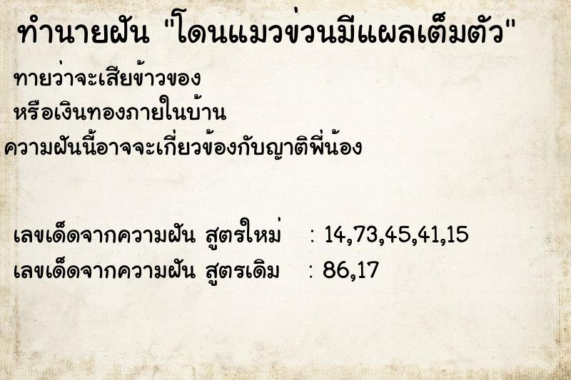 ทำนายฝันทำนายฝันโดนแมวข่วนมีแผลเต็มตัว